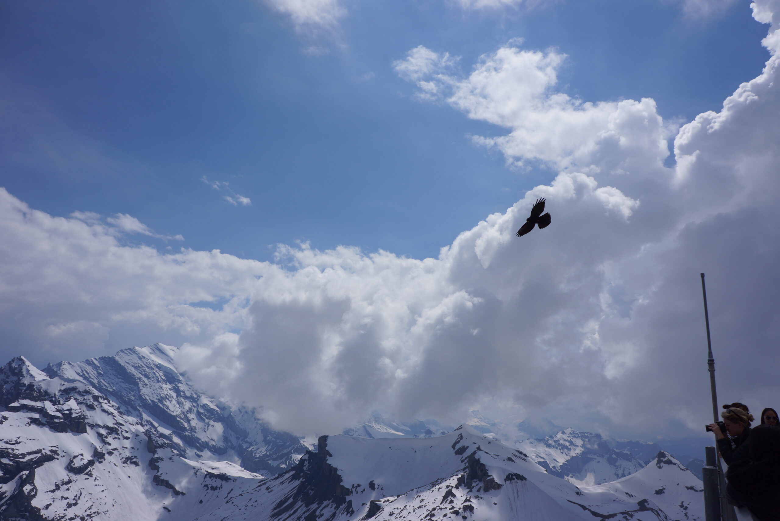 僕らは奇跡でできている