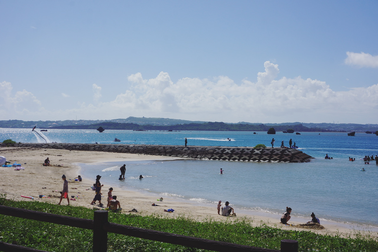 『The Edge of the Sea 海之滨』