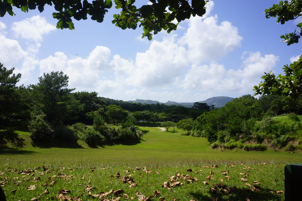 Okinawa 県民の森