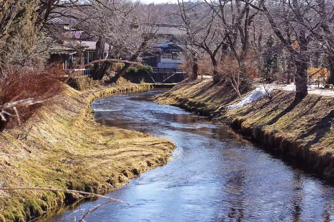 山梨·忍野八海