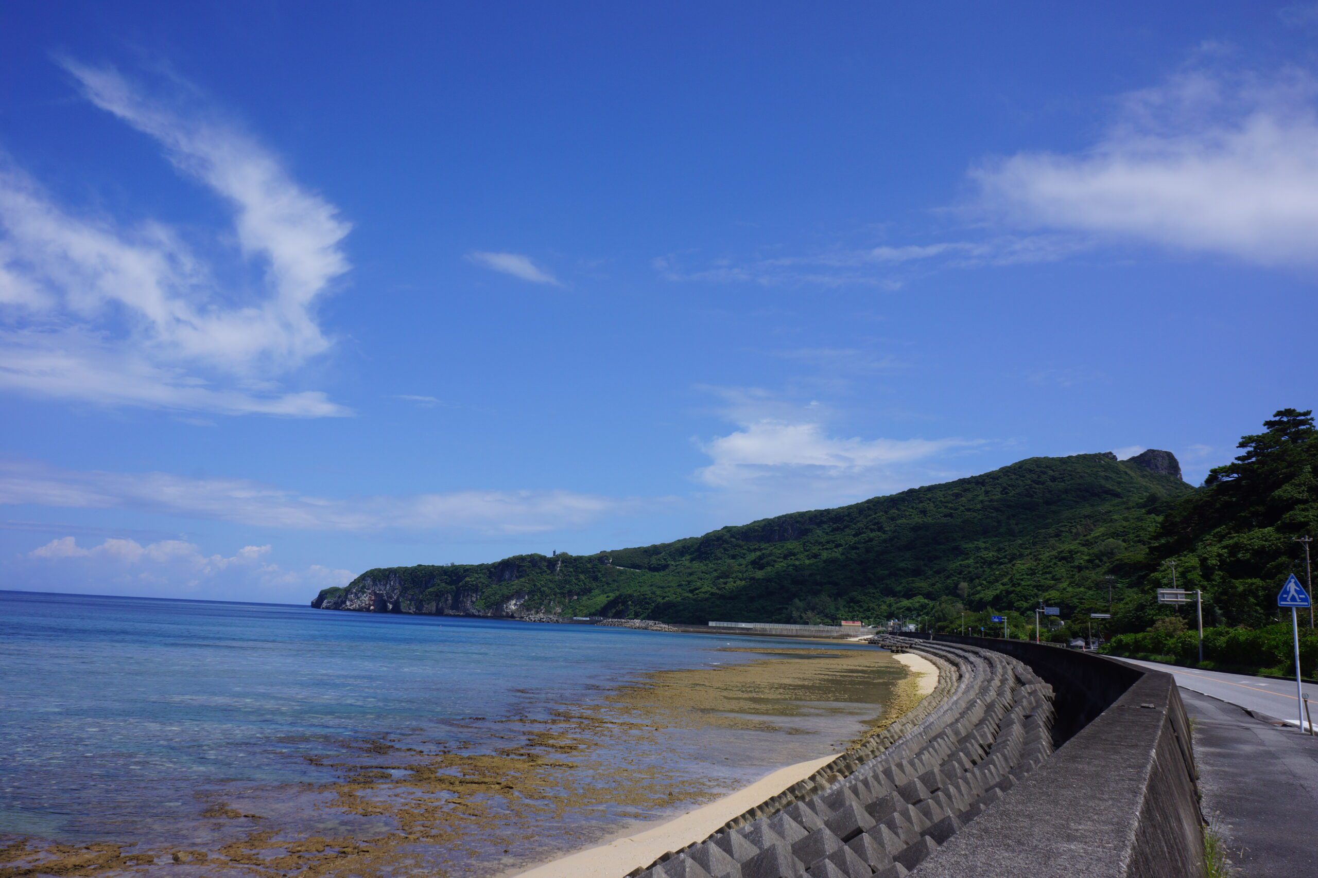 やんばる５８号線