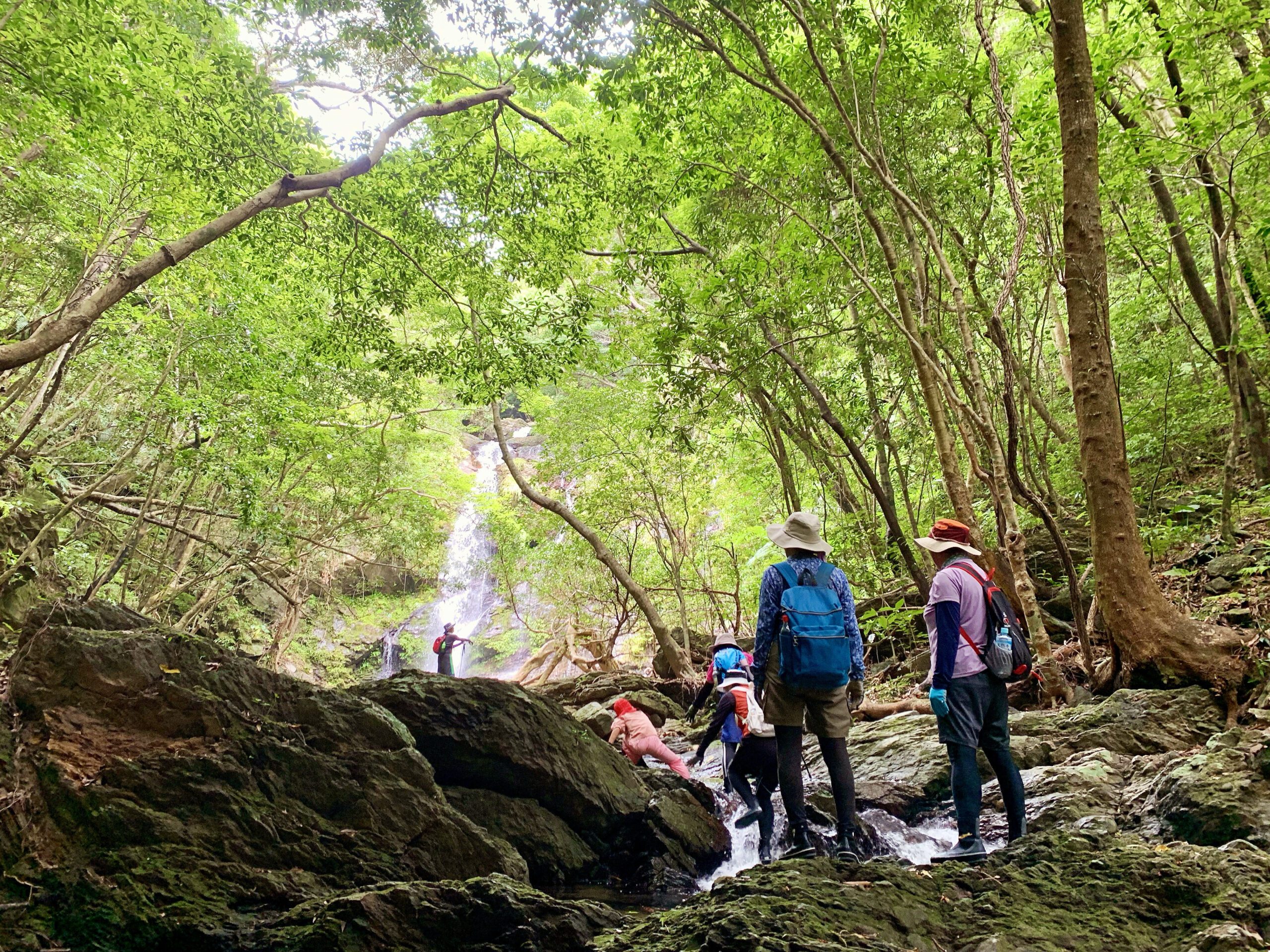 『日本人にも外国人にも心地よい日本語共生社会の日本語』