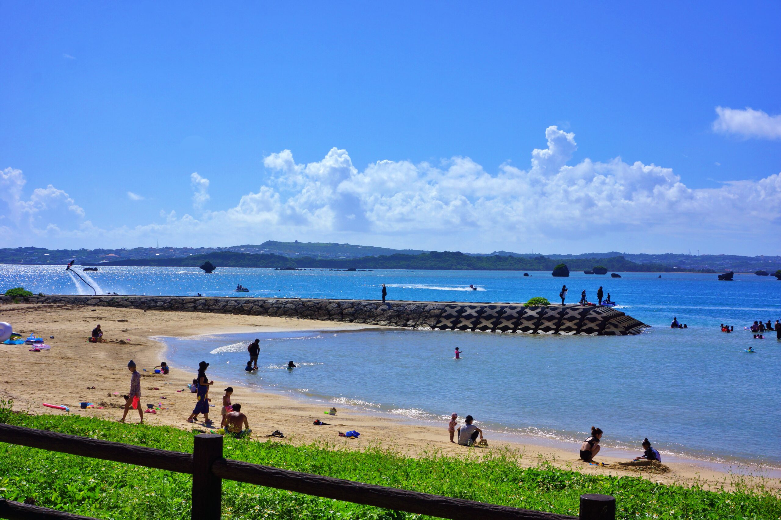 『The Edge of the Sea 海之滨』