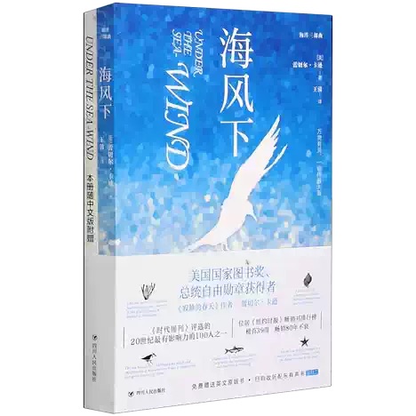 『Under The Sea-Wind 海风下』