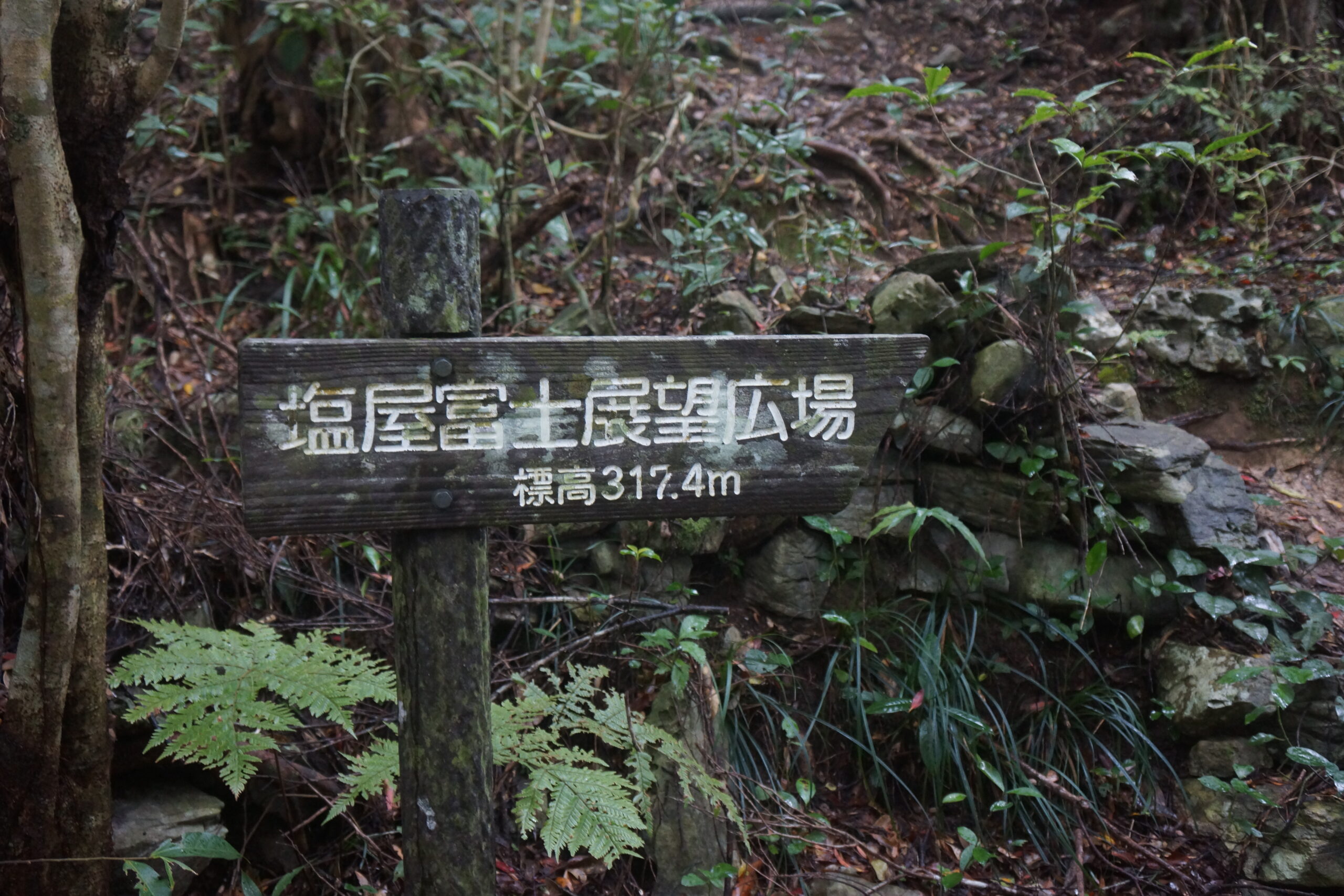 大宜味の石灰岩の山と森