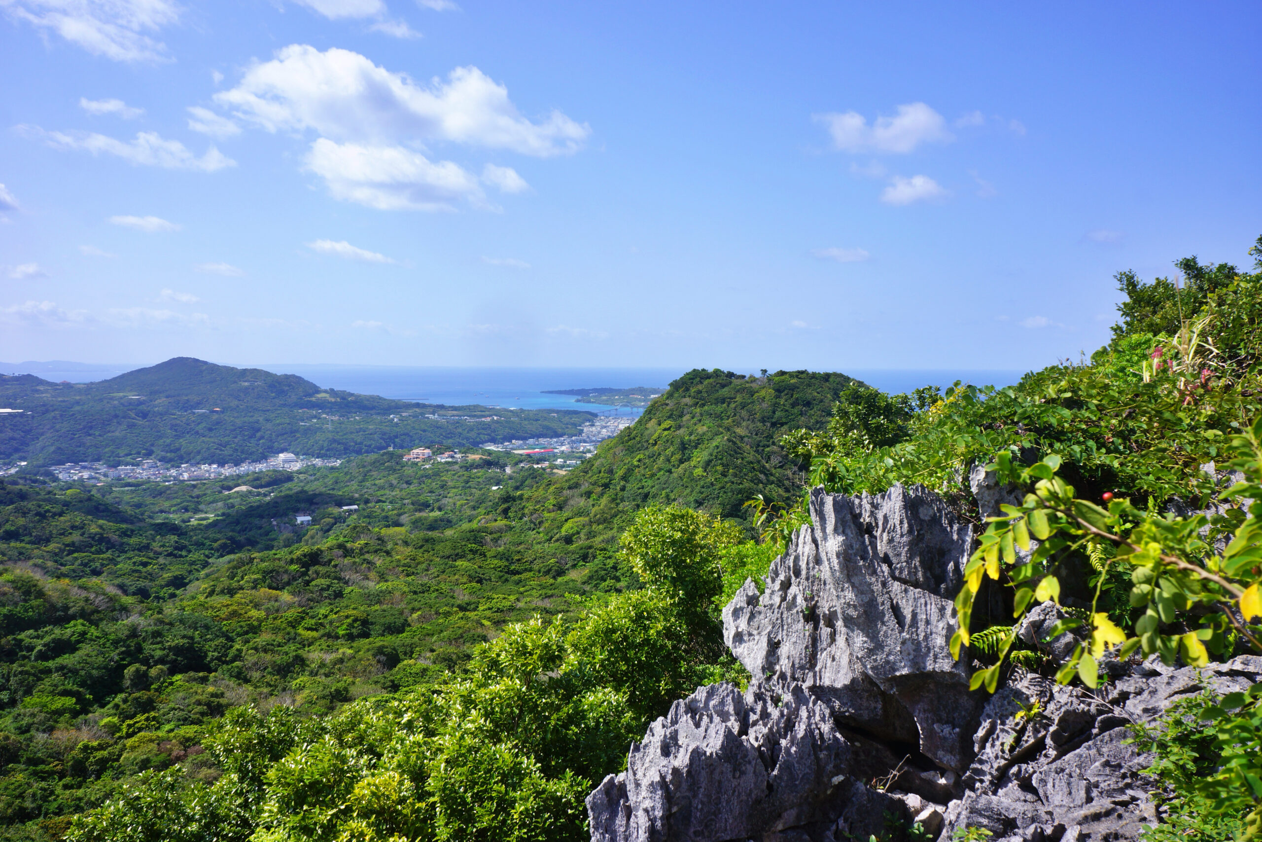 ミラムイ（本部富士）