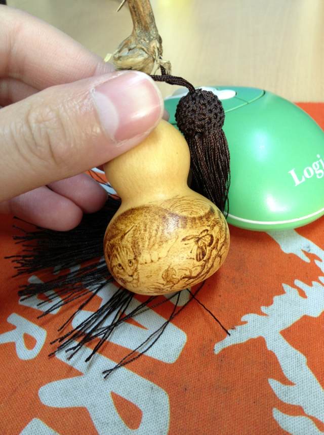 20130226